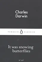 It Was Snowing Butterflies