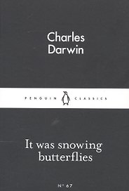 It Was Snowing Butterflies