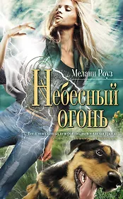 Небесный огонь : роман