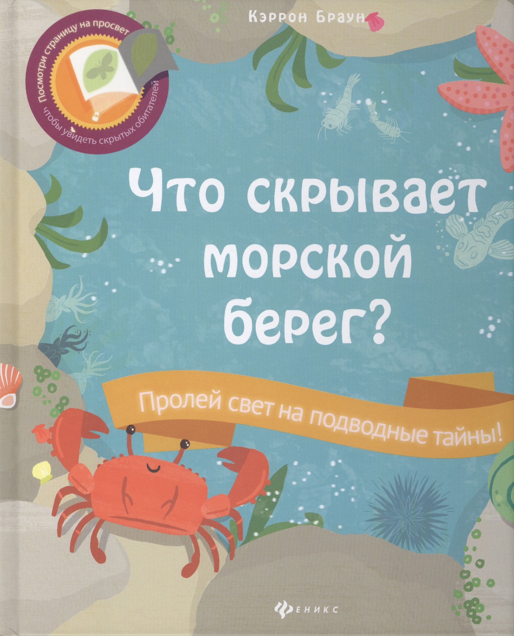 

Что скрывает морской берег