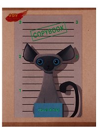 Тетрадь общая «DIY Collection. Коты бандиты», 48 листов в клетку, А5, в ассортименте - Paper Art