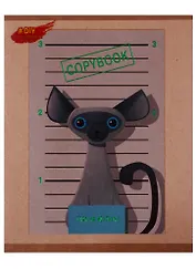 Тетрадь в клетку Paper Art, "DIY Collection. Коты бандиты", 48 листов, в ассортименте