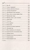 Поиск истинного я. Путь к блаженству и покою - 2