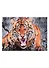 Набор для творчества, Рыжий Кот, Алмазная мозаика Дикий зверь (блест) 30х40 см c подр., с полн. заполн. (30цв.) FS004 - 0