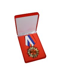 Орден металлический в бархатной коробке Любимой бабушке (553520) (5х10)
