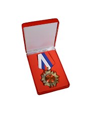 Орден металлический в бархатной коробке Любимой бабушке (553520) (5х10)