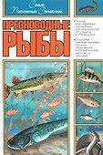 Пресноводные Рыбы. Самый популярный справочник - 1