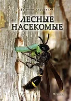 Лесные насекомые