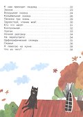 Дружунгли (матовая) - 2