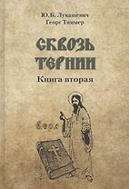 Сквозь тернии. Книга вторая. Епископ Роттердамский Дионисий (Лукин) и его роль в распространени православия в Голландии