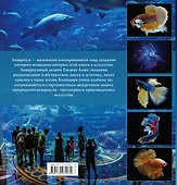 Аквариум. Создание ландшафтных композиций. Примеры и рекомендации - 1
