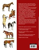 Большая иллюстрированная энциклопедия. Лошади - 1
