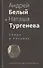 Андрей Белый и Наташа Тургенева: Роман в письмах - 0