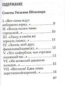 Shakespearience. Шекспир после Бродского, миниатюра - 1