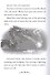 Secret of the Water Dragon: A Branches Book (Dragon Masters #3) : Volume 3 - 1
