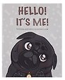 Тетрадь для записи иностранных слов «Hello!», 48 листов в мелкую клетку, А5 - Listoff