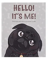 Тетрадь для записи иностр.слов А5 48л "Hello!" скрепка, мел.картон, глянц.ламинация