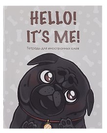 Тетрадь для записи иностранных слов «Hello!», 48 листов в мелкую клетку, А5 - Listoff