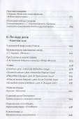 Неспособность к искаженияю: Статьи, эссе, интервью - 2