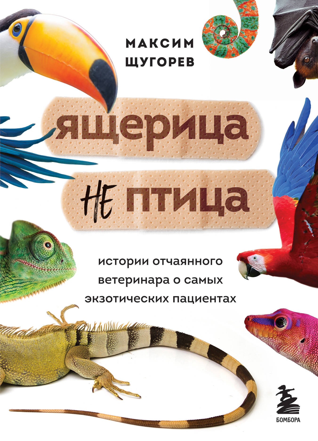 

Ящерица не птица. Истории отчаянного ветеринара о самых экзотических пациентах