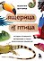 Ящерица не птица. Истории отчаянного ветеринара о самых экзотических пациентах - 0