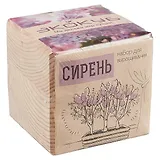 Набор для опытов и экспериментов Набор для выращивания Экокуб Сирень