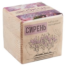 Набор для опытов и экспериментов Набор для выращивания Экокуб Сирень