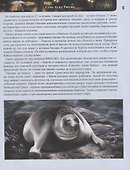 Чудеса и загадки России. Энциклопедия - 2