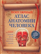 Популярный атлас анатомии человека