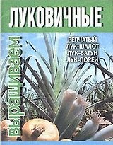 Выращиваем луковичные: Репчатый лук-шалот, лук-батун, лук-порей