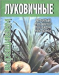 Выращиваем луковичные: Репчатый лук-шалот, лук-батун, лук-порей