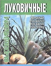 Выращиваем луковичные: Репчатый лук-шалот, лук-батун, лук-порей