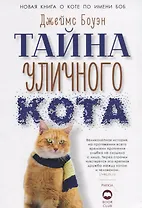 Тайна уличного кота