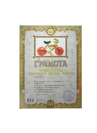 Грамота «Приверженец здорового образа жизни», Мастер
