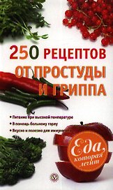 250 рецептов от простуды и гриппа
