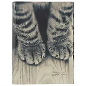 Тетрадь на кольцах в клетку Listoff, "Пушистые лапки", 100 листов