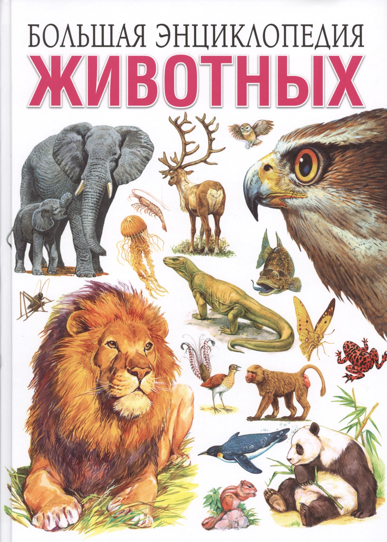 

Большая энциклопедия животных