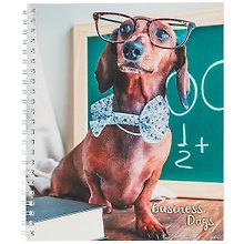 Тетрадь общая «Пушистые менеджеры», 48 листов в клетку, A5, в ассортименте - Listoff