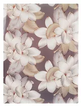 Папка 20 файлов А4 "Цветы"