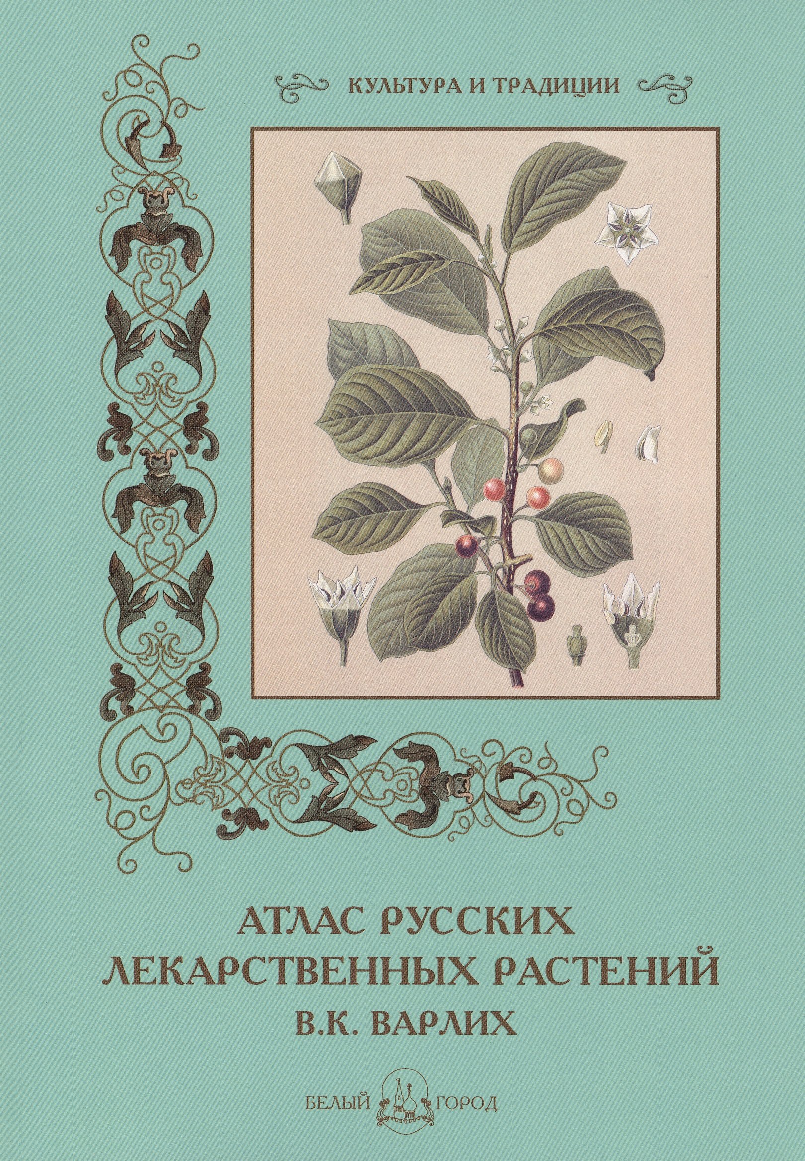 

Атлас русских лекарственных растений. В.К. Варлих