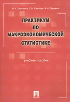 Практикум по макроэкономической статистике: Учебное пособие