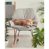 Тетрадь в клетку Listoff, "Домашние любимцы", 96 листов, в ассортименте