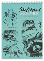 Скетчбук А4 40л "Енот-полоскун" белый офсет, 80г/м2, тв.обложка, спираль