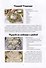 Сборник кулинарных рецептов от Ирины Давыдовой - 1