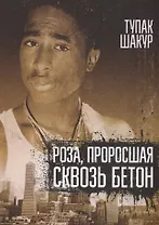 Роза, проросшая сквозь бетон