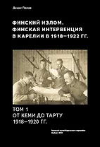 Финский излом. Финская интервенция в Карелии в 1918 - 1920 годах. Том. 1. От Кеми до Тарту 1918 - 1920 гг.