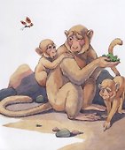 Волк и собака. Крупные буквы. Короткие тексты - 1
