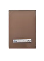 Бумага для пастели А4 "Mi-Teintes" 160г/м2 №501 табак, Canson