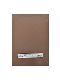 Бумага для пастели А4 "Mi-Teintes" 160г/м2 №501 табак, Canson