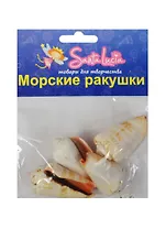 Морские ракушки Ракушка Стромбус лухуанус (2209) (80гр.) (набор для творч.) (3+) (упаковка)